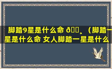 脚踏9星是什么命 🕸 （脚踏一星是什么命 女人脚踏一星是什么命）